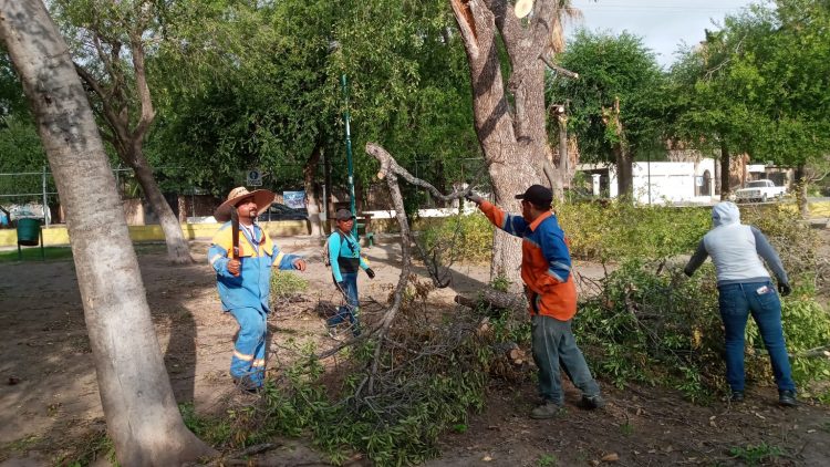 Abrirán parques y plazas este fin de semana
