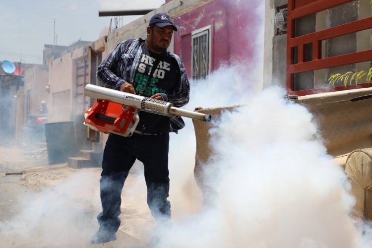 Reportan aquí 16 casos sospechosos de dengue