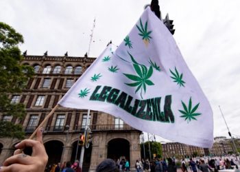 La SCJN declara inconstitucional la prohibición al uso lúdico de la marihuana