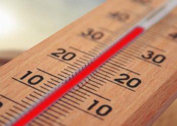 Ola de calor deja 34 muertos en dos días en Vancouver, Canadá