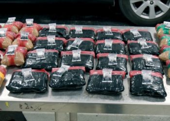 Mujer transportaba más de un millón de dólares en heroína