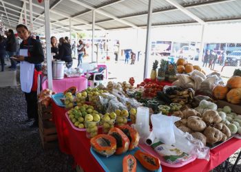 Tiene Mercado Municipal cinco espacios disponibles