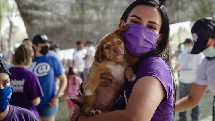 Encabeza Yahleel jornada de rescate animal