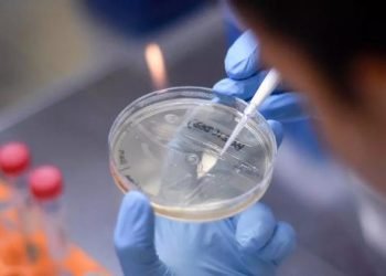 Detectan cepa Delta en Laredo