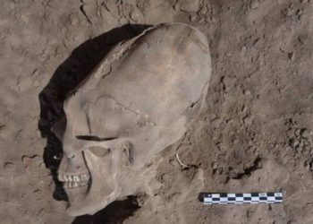 Cráneos ovalados de cementerio prehispánico y pinturas mayas evidenciarían presencia alien