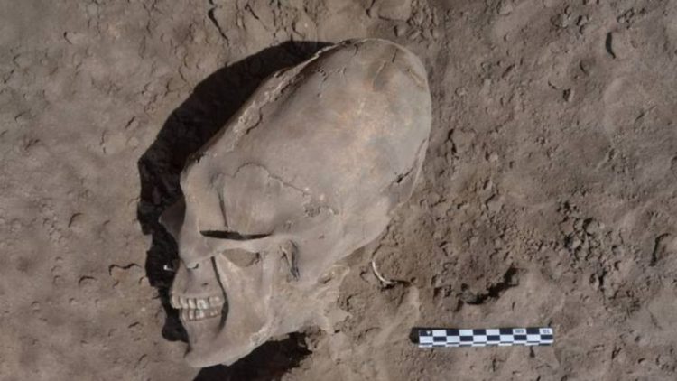 Cráneos ovalados de cementerio prehispánico y pinturas mayas evidenciarían presencia alien