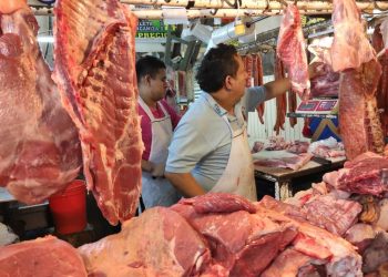 Retorna a las mesas de los hogares carne de la región