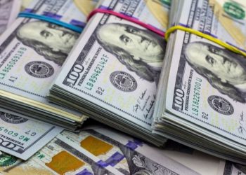 Decomisa DPS más de 300 mil dólares en efectivo