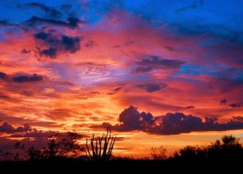 México vive fenómeno conocido como Monzón de Norteamérica