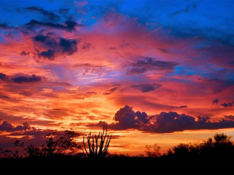 México vive fenómeno conocido como Monzón de Norteamérica