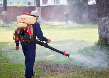 Lluvias generan mayor proliferación de zancudos