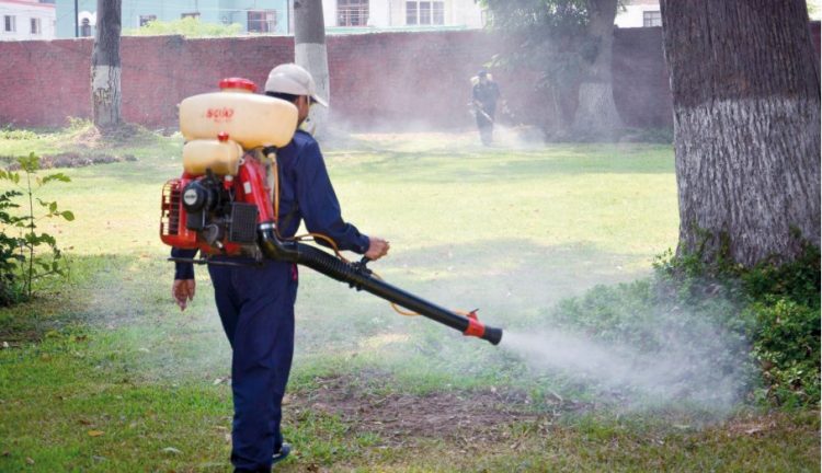 Lluvias generan mayor proliferación de zancudos