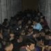 Sacan 100 indocumentados más de dos cajas tráiler