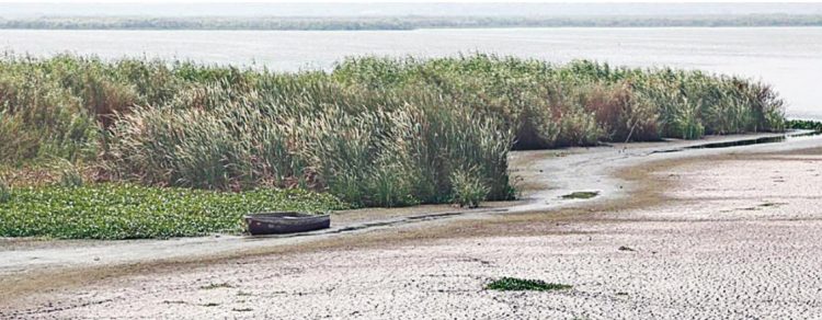 Entrará Laredo en severa sequía