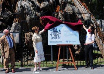 Hernán Cortés lloró. Entonces es la “Noche Victoriosa”. Le quitan la “Noche Triste”