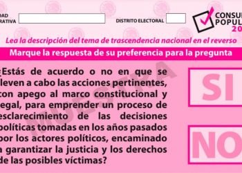 INE garantiza resultados de la consulta popular el mismo domingo 1 de agosto