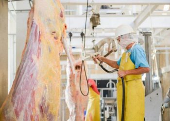 Aumentan sacrificios en Rastro Municipal