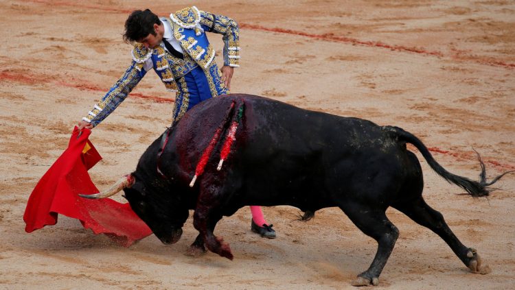 Un toro embiste varias veces a Cayetano Rivera durante una corrida celebrada en España | VIDEO