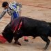 Un toro embiste varias veces a Cayetano Rivera durante una corrida celebrada en España | VIDEO