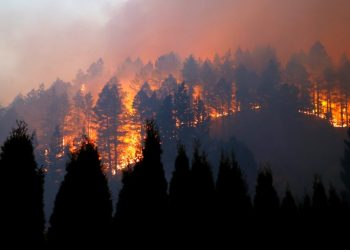 El mayor incendio activo en California ya ha quemado casi 200 mil hectáreas