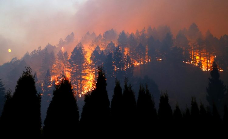 El mayor incendio activo en California ya ha quemado casi 200 mil hectáreas