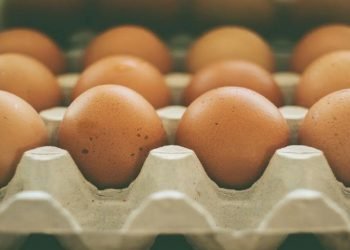 Regreso a clases: DIF ya tiene listos los desayunos para el ciclo escolar 2021-2022