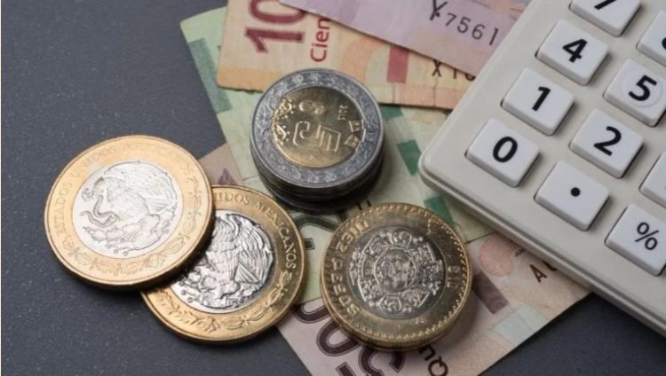 El gobierno va por salario mínimo de $189 en 2024