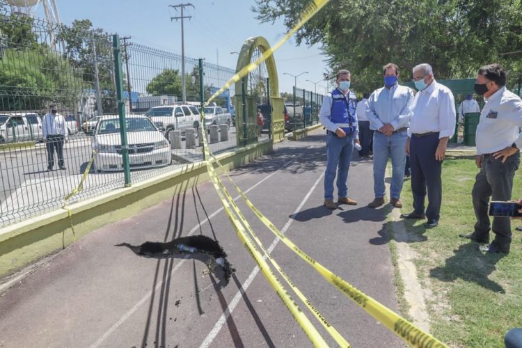 Da instrucciones el alcalde de reparar socavón de parque ‘Narciso Mendoza’