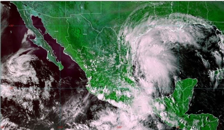 Nicholas: el sistema gana fuerza y podría alcanzar la costa de Texas como huracán