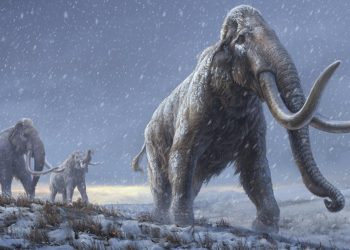 Empresa de genética busca resucitar a los mamuts para “sanar” la Tierra