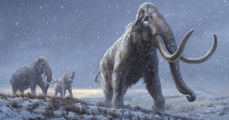 Empresa de genética busca resucitar a los mamuts para “sanar” la Tierra