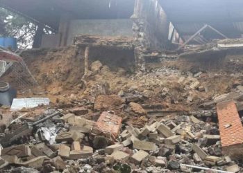 Tragedia canina: perritos quedan sepultados en refugio tras deslave de cerro en Xochimilco