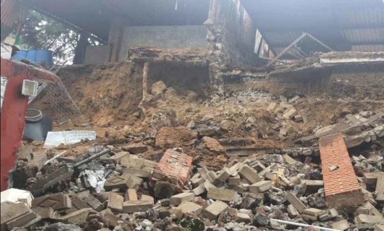 Tragedia canina: perritos quedan sepultados en refugio tras deslave de cerro en Xochimilco