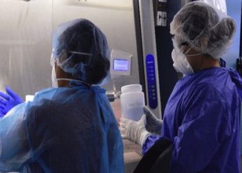 Confirman otros 515 casos de Covid-19 en Tamaulipas