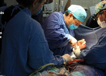 Aumenta número de donadores de órganos