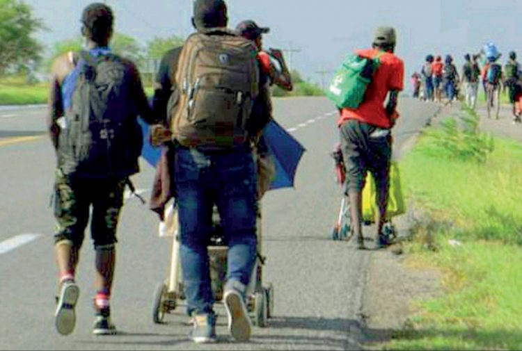 Salud en alerta por llegada de haitianos