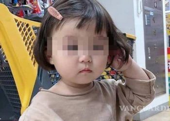 ¡No más sticker de WhatsApp de la niña coreana! Mamá de la pequeña alista demanda por memes