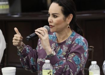 Obra pública reactivará economía: Carmen Lilia