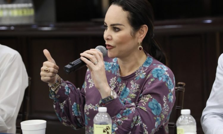 Obra pública reactivará economía: Carmen Lilia