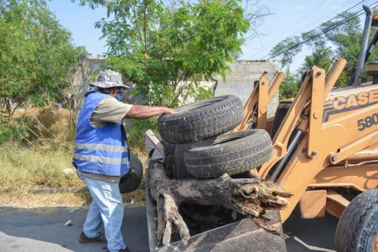 Exhortan a ciudadanía a prevenir el dengue