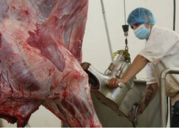 Especulación triplica precio de la carne