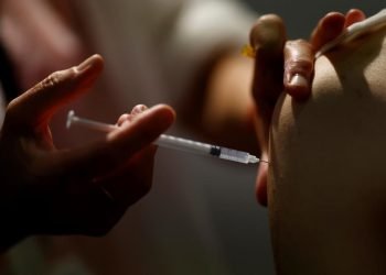 Brote de Fiebre amarilla en Venezuela; OMS recomienda vacunarse