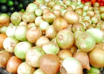 Pide EU a tiendas y ciudadanos no comprar cebollas de Chihuahua