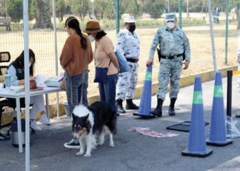 Harán una campaña de esterilización de mascotas en noviembre