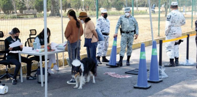 Harán una campaña de esterilización de mascotas en noviembre