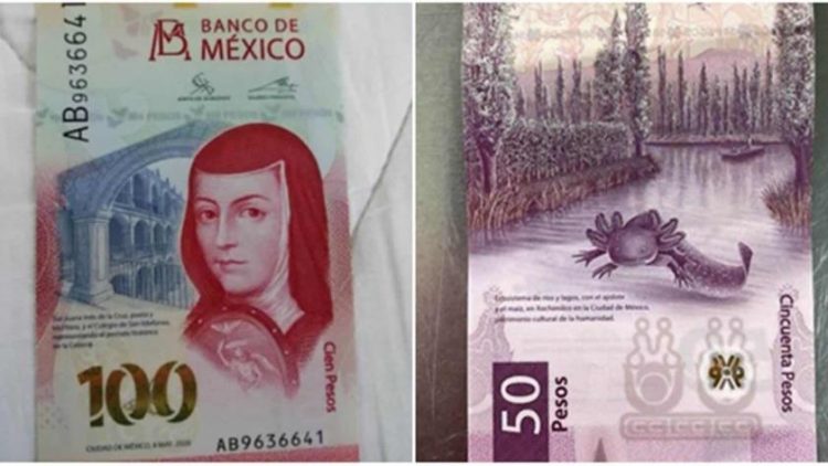 Estos son los billetes que puedes vender hasta en 18 mil pesos en línea