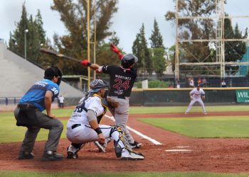 ¡AQUÍ TAMBIÉN! Tecolotes en veremos