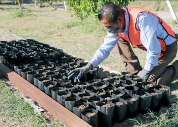Realizarán un programa de educación ambiental para niños