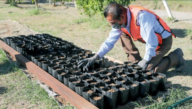 Realizarán un programa de educación ambiental para niños