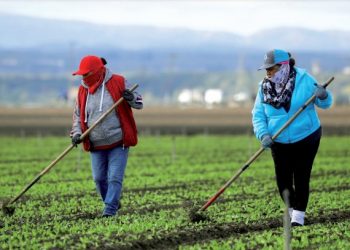 Podrían otorgar el perdón y empleo a indocumentados